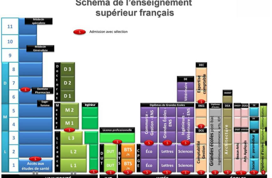Formation denturiste