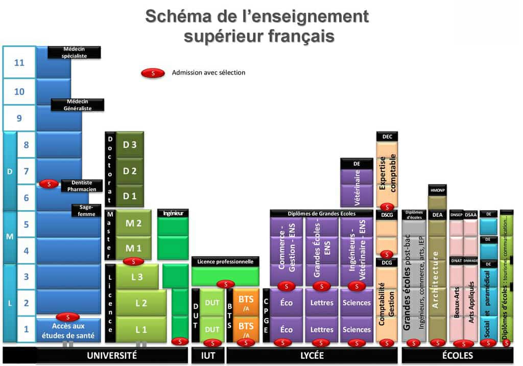 Formation denturiste