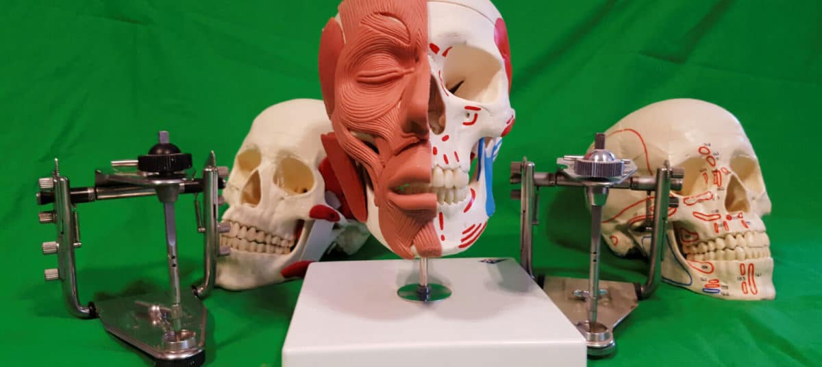 formation france denturiste. pédagogie