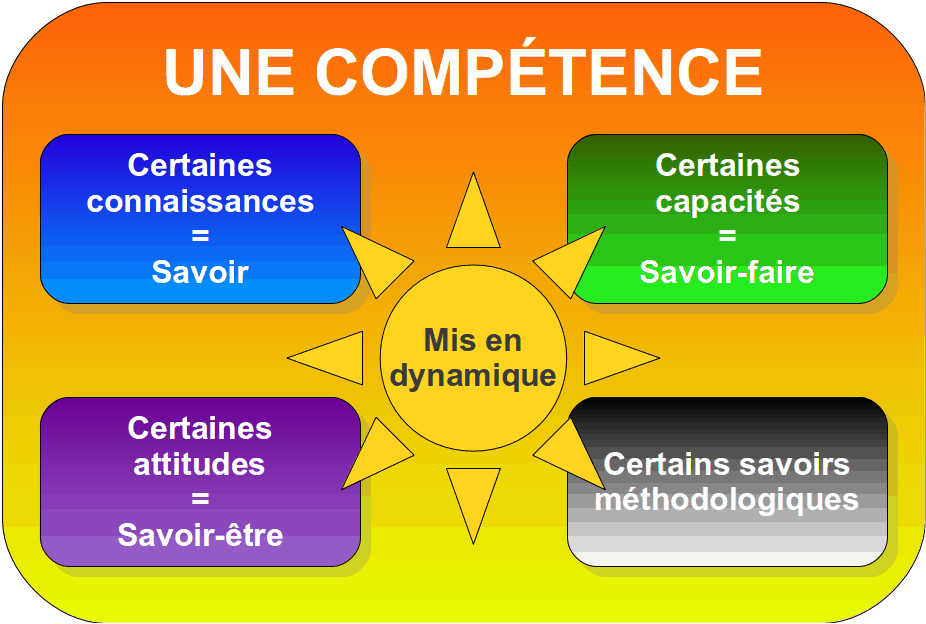 les_competences.png les_competences.png Compétences