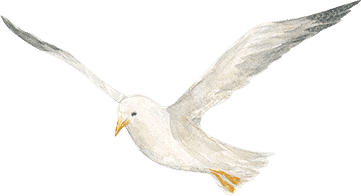 elementor off canvas bird right 3